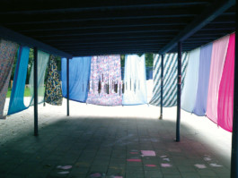 anja wiese