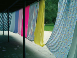 anja wiese