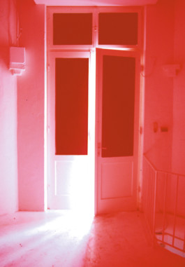 anja wiese