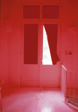 anja wiese